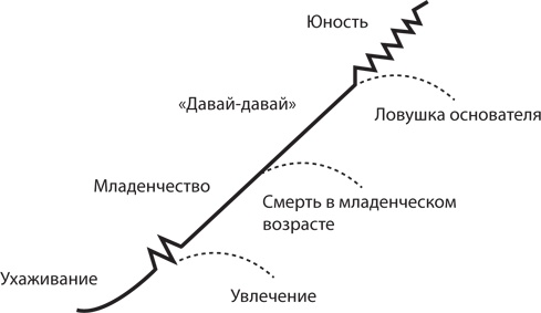 Управление жизненным циклом корпораций