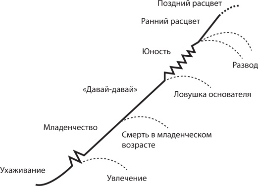 Управление жизненным циклом корпораций