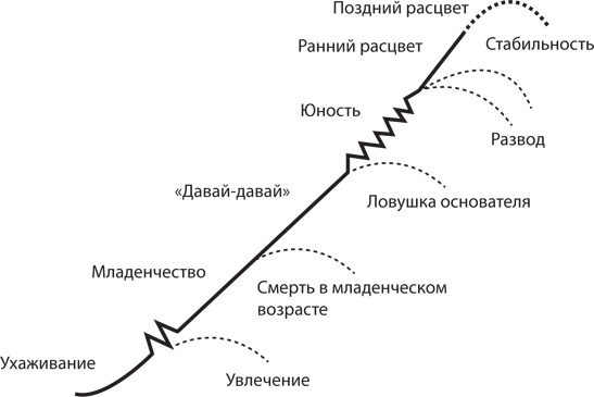 Управление жизненным циклом корпораций