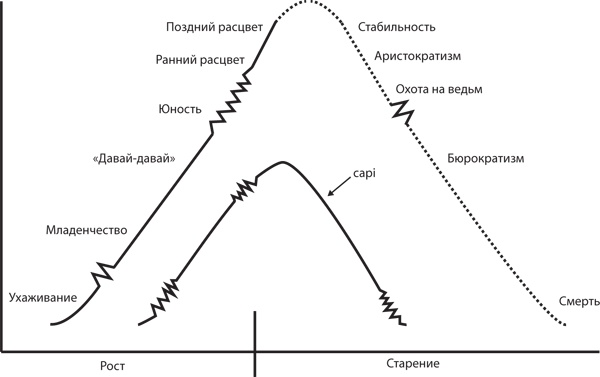 Управление жизненным циклом корпораций