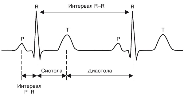 Что показывает кардиограмма