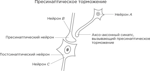 Биология добра и зла. Как наука объясняет наши поступки