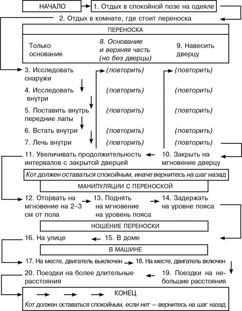 Как воспитать вашу кошку