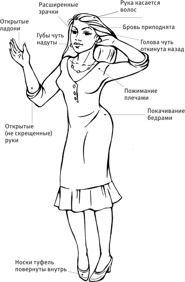 Любовь и секс. Как мы ими занимаемся. Прямой репортаж из научных лабораторий, изучающих человеческую сексуальность