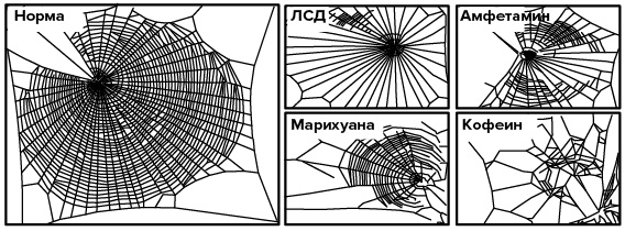 Зачем мы спим. Новая наука о сне и сновидениях