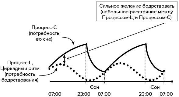 Зачем мы спим. Новая наука о сне и сновидениях