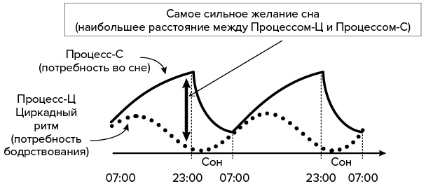 Зачем мы спим. Новая наука о сне и сновидениях