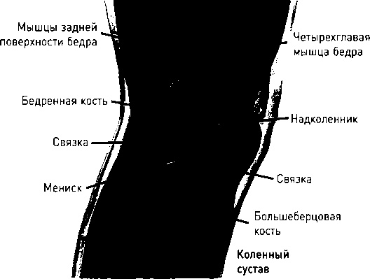 Осторожно, спорт! О вреде бега, фитнеса и других физических нагрузок