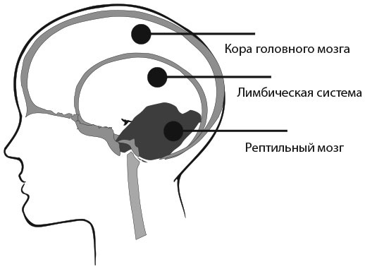 Сила эмоционального интеллекта. Как его развить для работы и жизни