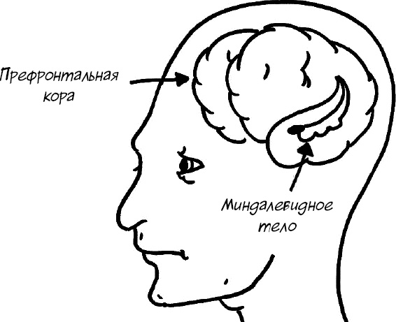 Формула Счастья. Ничего + кое-что = все