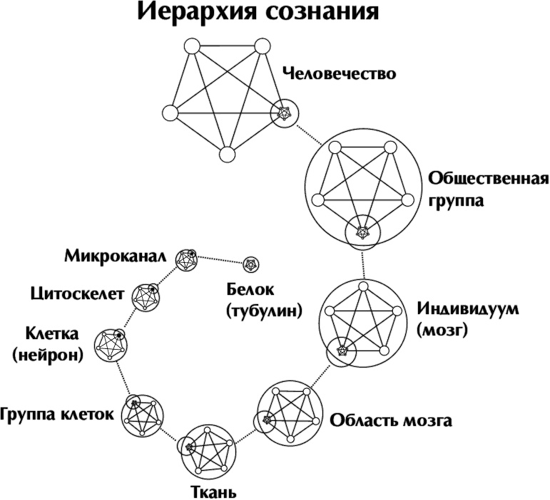 Кроличья нора, или Что мы знаем о себе и Вселенной