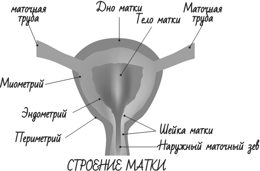 Project Woman. Тонкости настройки женского организма. Узнай, как работает твое тело