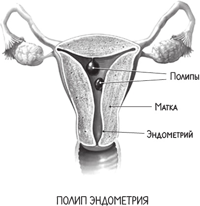 Project Woman. Тонкости настройки женского организма. Узнай, как работает твое тело