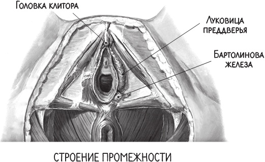 Project Woman. Тонкости настройки женского организма. Узнай, как работает твое тело