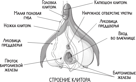 Project Woman. Тонкости настройки женского организма. Узнай, как работает твое тело