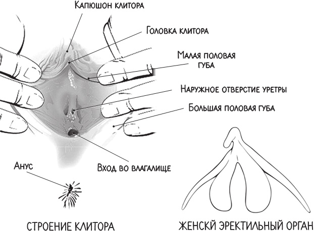 Project Woman. Тонкости настройки женского организма. Узнай, как работает твое тело