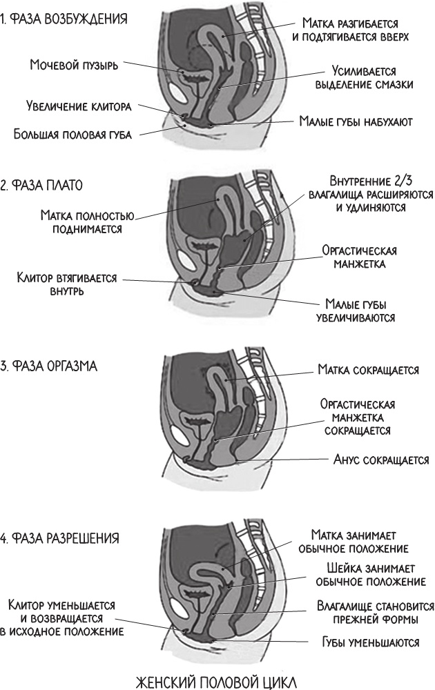 Project Woman. Тонкости настройки женского организма. Узнай, как работает твое тело