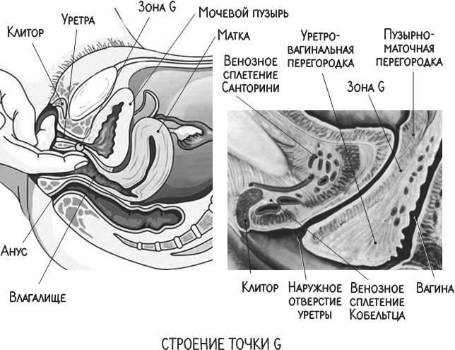 Project Woman. Тонкости настройки женского организма. Узнай, как работает твое тело