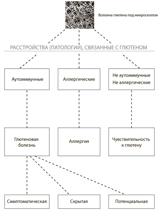 Программа восстановления иммунной системы. Практический курс лечения аутоиммунных заболеваний в четыре этапа