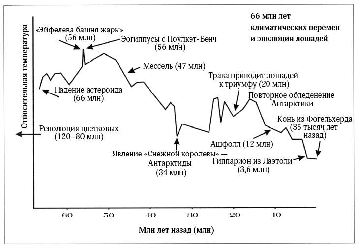 Лошадь. Биография нашего благородного спутника