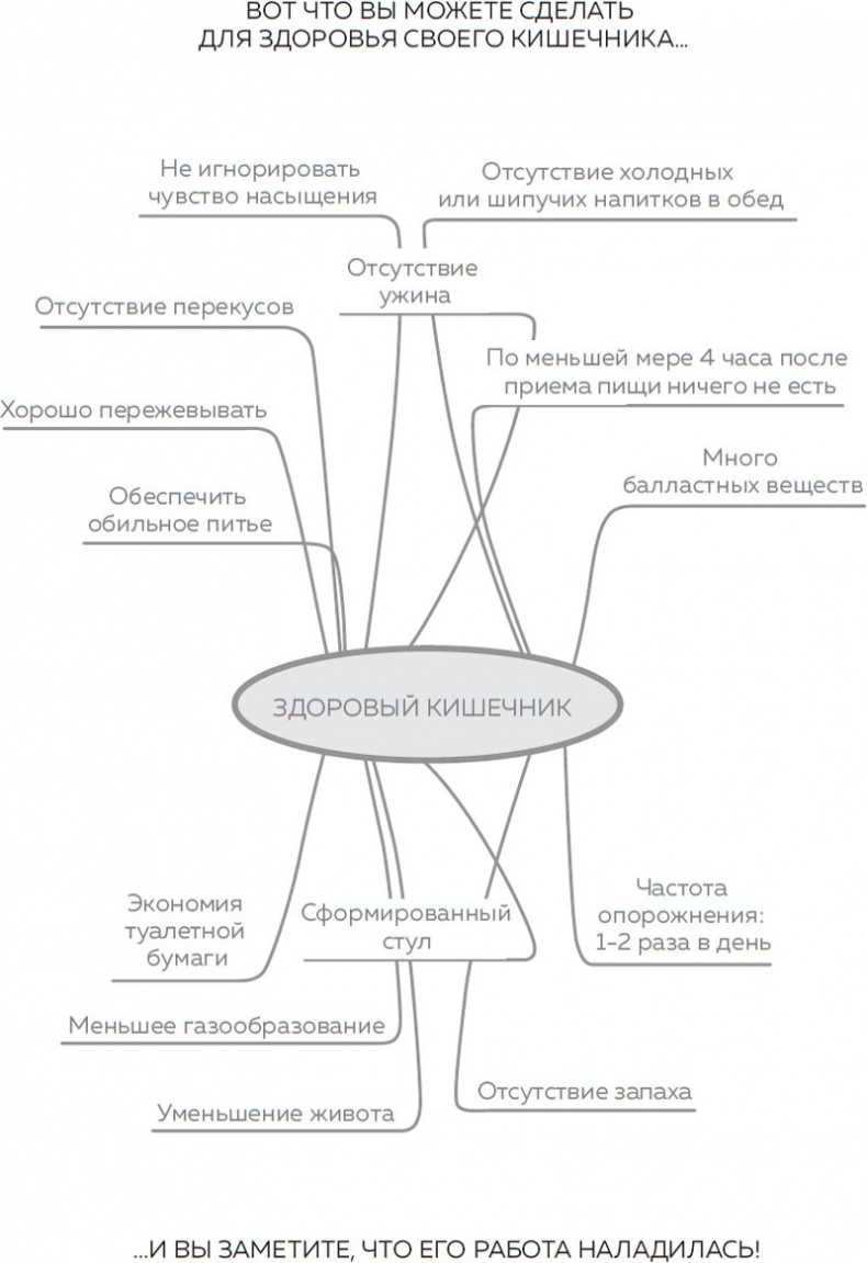 Кишечник. Как у тебя дела?