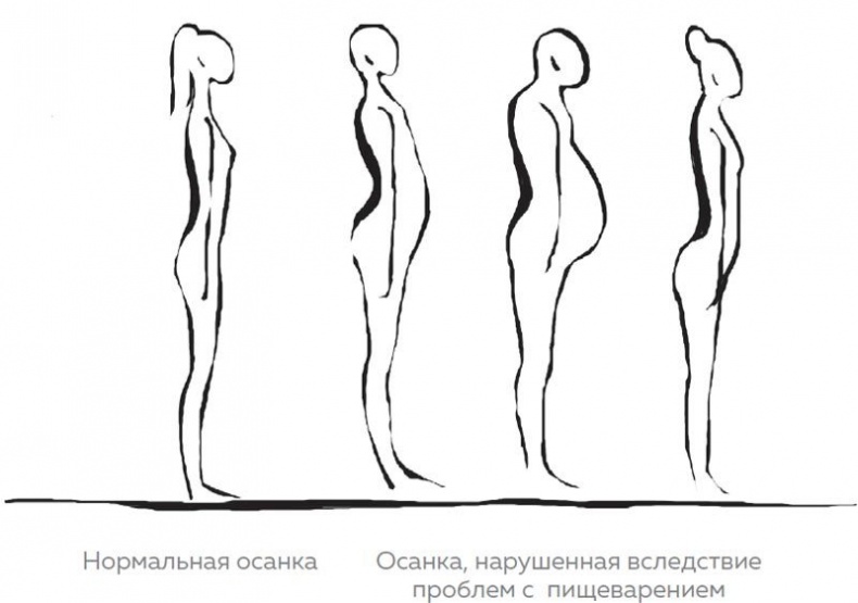 Кишечник. Как у тебя дела?