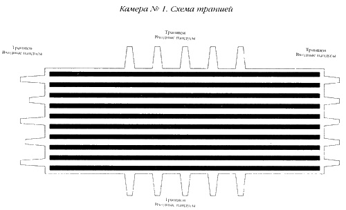 Хранители гробницы