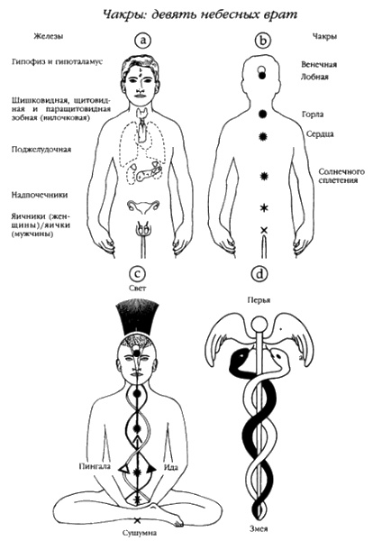 Хранители гробницы