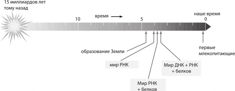 ДНК. История генетической революции