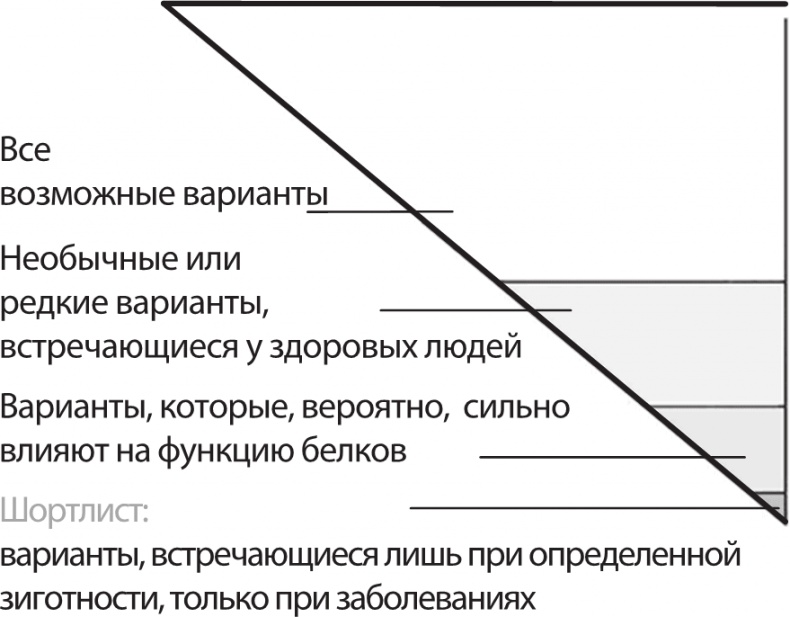 ДНК. История генетической революции