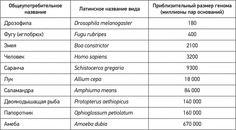 ДНК. История генетической революции