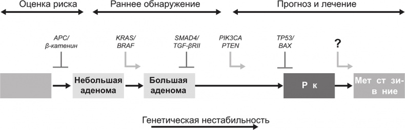 ДНК. История генетической революции