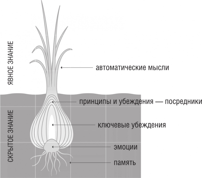 ОН. Интимный разговор про тот самый орган