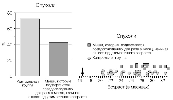 Лонгевита. Революционная диета долголетия