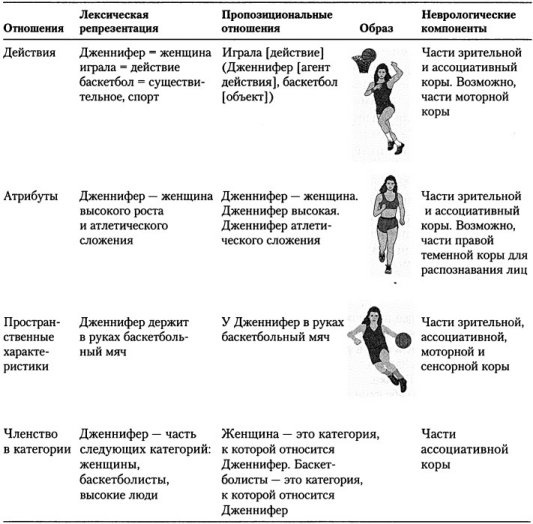 Когнитивная психология