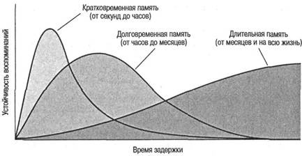 Когнитивная психология