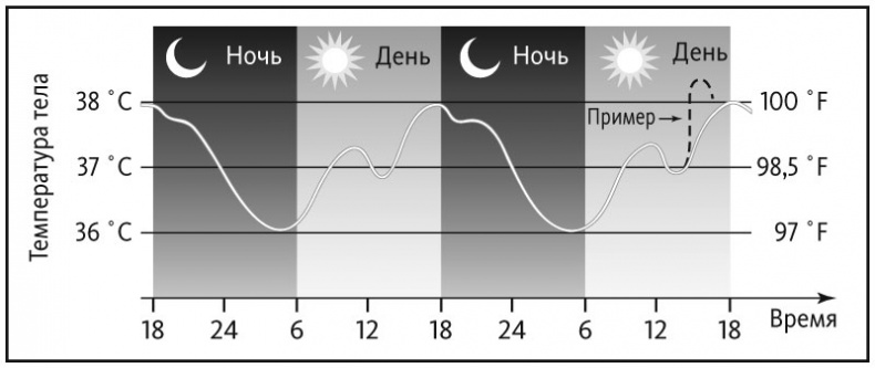 Здоровый сон. 21 шаг на пути к хорошему самочувствию