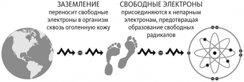 Здоровый сон. 21 шаг на пути к хорошему самочувствию