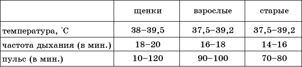 Cобака. Полное руководство по дрессировке и уходу