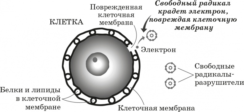 Как обмануть возраст