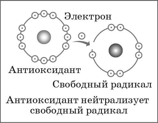 Как обмануть возраст