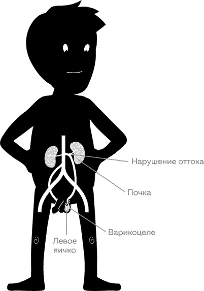 Мужское здоровье. Как у вас с ним?