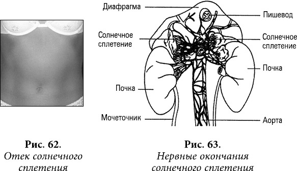 Квантовая биомеханика тела. Методика оздоровления опорно-двигательного аппарата человека. Часть 1