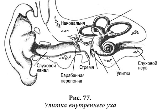 Квантовая биомеханика тела. Методика оздоровления опорно-двигательного аппарата человека. Часть 1