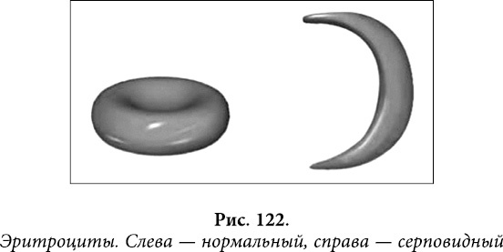 Квантовая биомеханика тела. Методика оздоровления опорно-двигательного аппарата человека. Часть 1