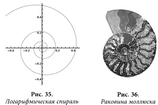 Квантовая биомеханика тела. Методика оздоровления опорно-двигательного аппарата. Часть 2