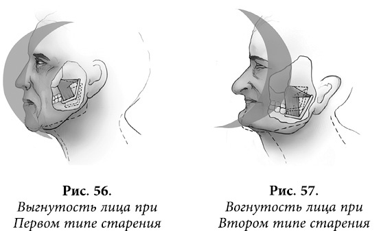 Квантовая биомеханика тела. Методика оздоровления опорно-двигательного аппарата. Часть 2