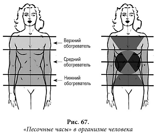 Квантовая биомеханика тела. Методика оздоровления опорно-двигательного аппарата. Часть 2