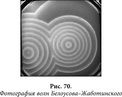 Квантовая биомеханика тела. Методика оздоровления опорно-двигательного аппарата. Часть 2