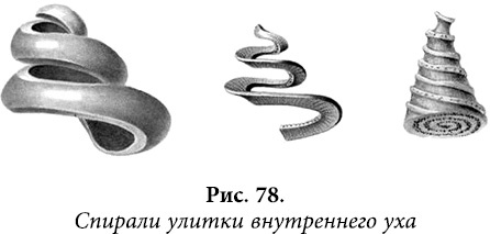 Квантовая биомеханика тела. Методика оздоровления опорно-двигательного аппарата. Часть 2